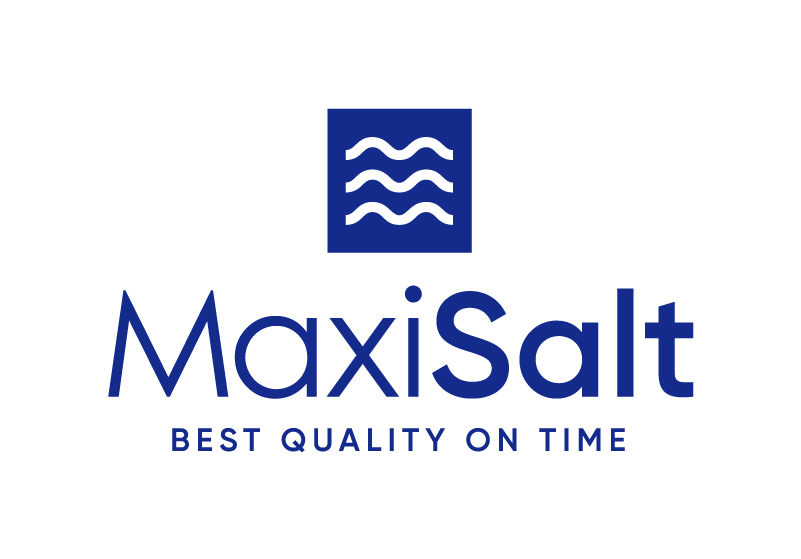 maxisalt-logo-master-claim